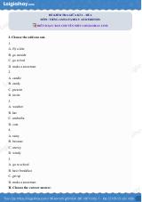 Đề thi giữa kì 2 Tiếng Anh 4 Family and Friends - Đề số 6